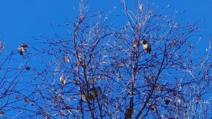 Утренний релакс