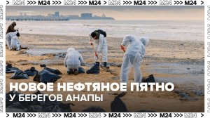 Новый выброс нефтепродуктов обнаружили у побережья Анапы — Москва 24 | Контент