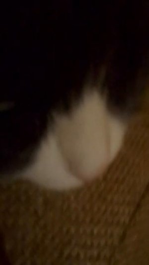 срочное дело