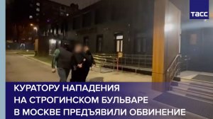 Куратору нападения на Строгинском бульваре в Москве предъявили обвинение