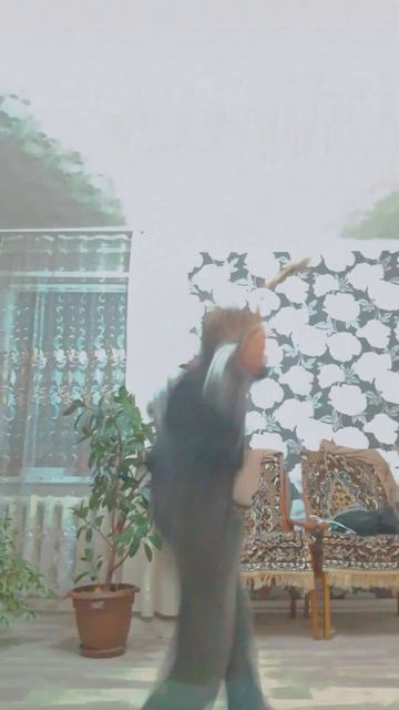 11 октября 2024 г.