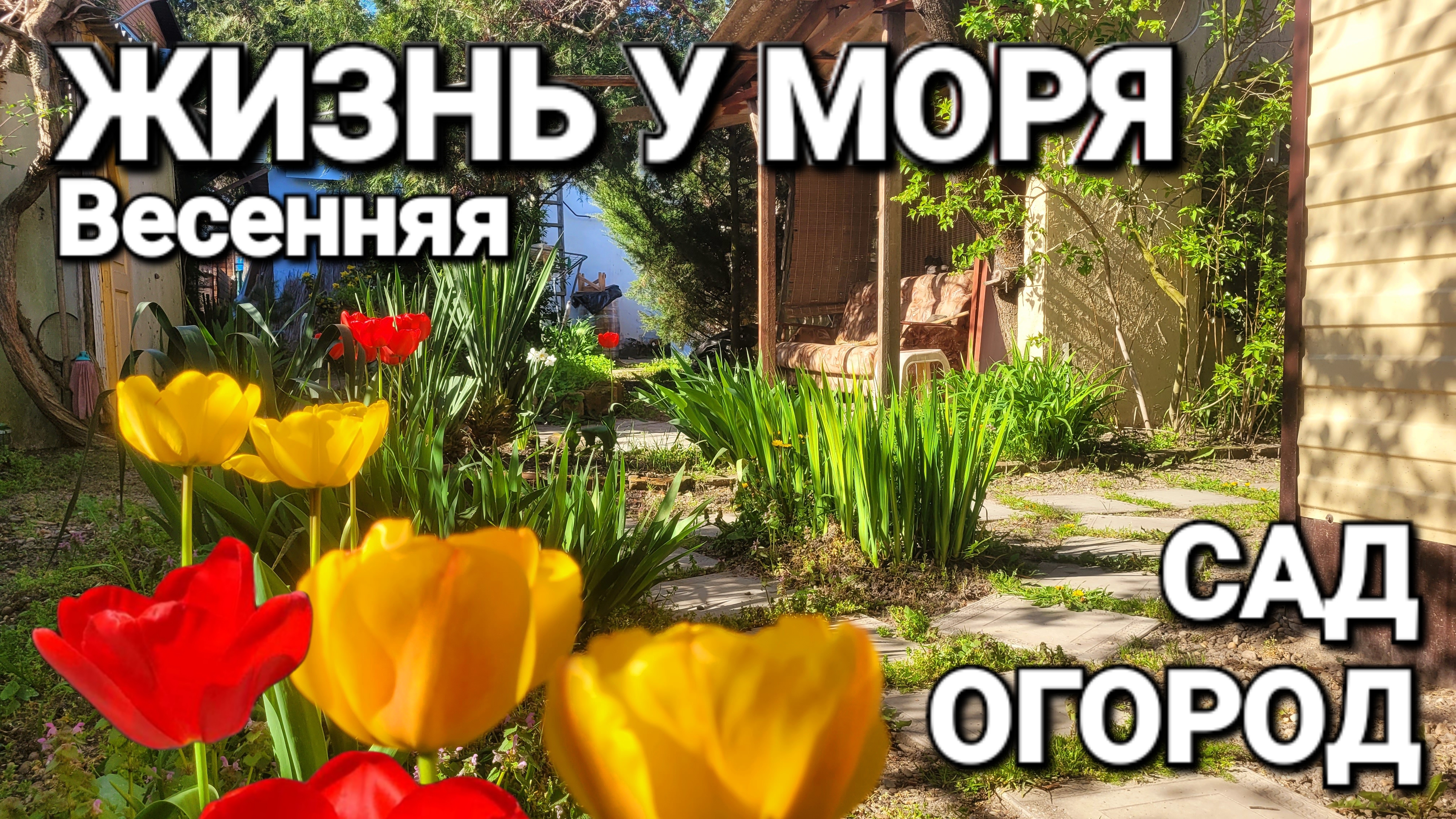 Пошла жара! Деревенская жизнь у моря. Голубицкая Весенний сад огород. Опасно ли на юге?