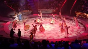 Красивый белый Таней Белоснежки в Большом Московском Цирке