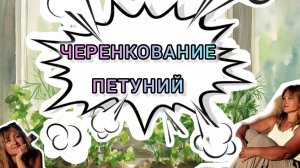 Черенкование петуний от стрижки до корней.