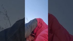 маленькие негры