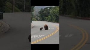 Смотрите люди и учитесь,за здоровье Мам молитесь!