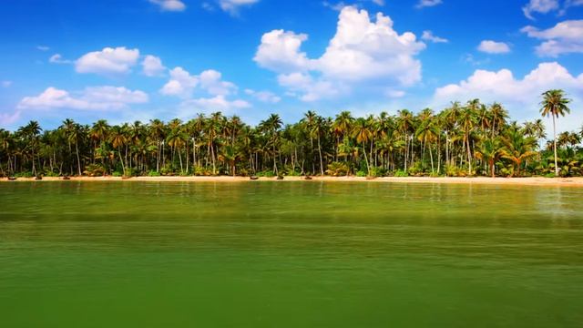 Golden Groove 🌴 Deep House ⧸ Nu Disco Mix (1 Hour)  ｜ Muzlub Chill