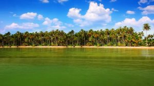 Golden Groove 🌴 Deep House ⧸ Nu Disco Mix (1 Hour)  ｜ Muzlub Chill