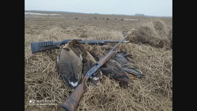 ОХОТА НА ГУСЯ В НЕ ПОГОДУ