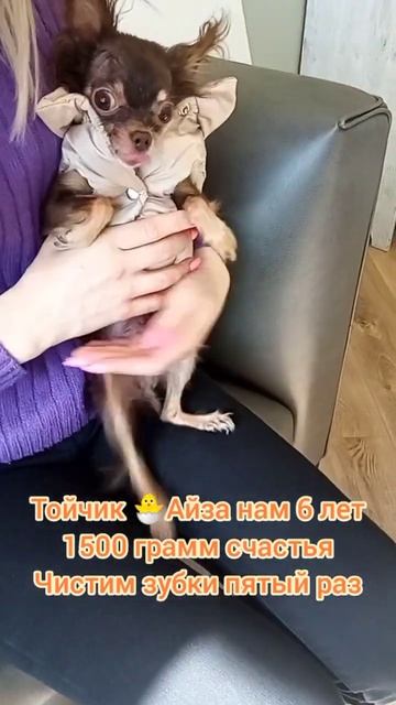 Тойчик Айза нам 6 лет  1500 грамм счастья. 5й раз