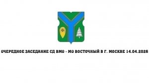 Очередное заседание СД ВМО-МО Восточный в г. Москве 14.04.2026