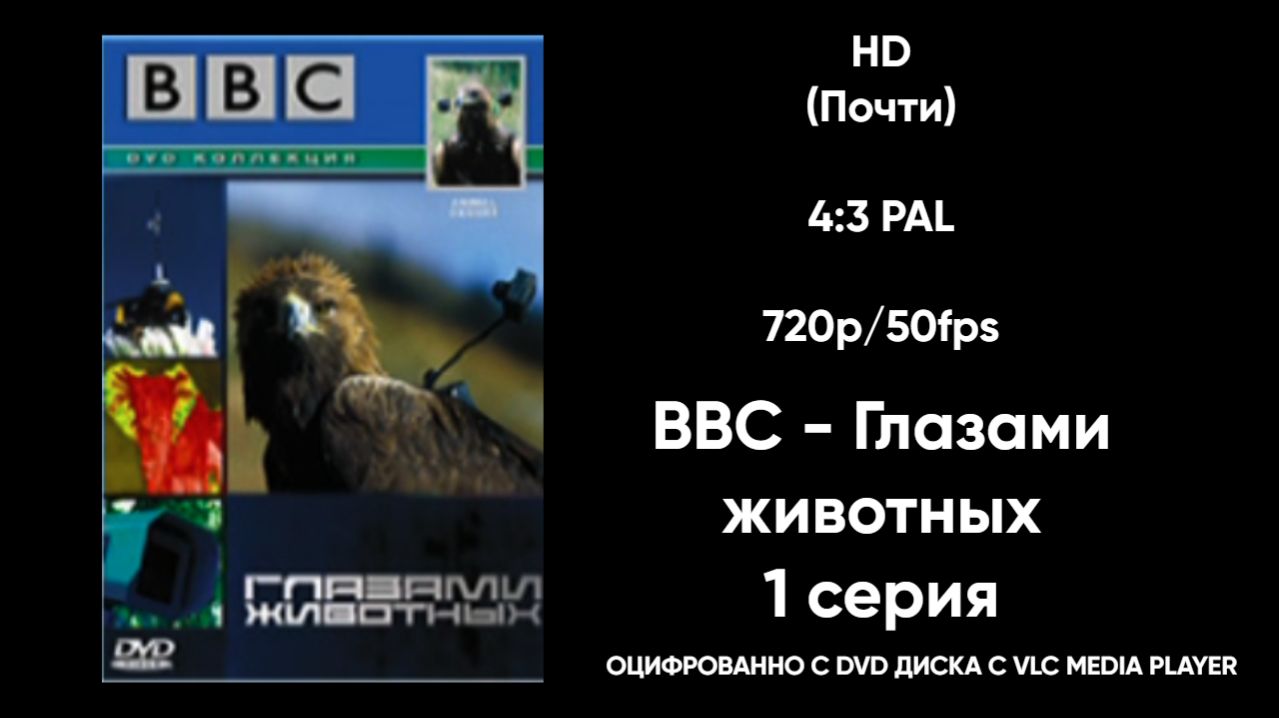 BBC - Глазами животных! 1 серия. Оцифрованно с DVD. #DVD #VLC #BBC