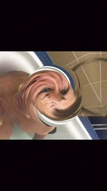 Попробуй не засмеяться 