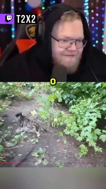 КОТ СТЕПА НА ШУХЕРЕ 😅 - #t2x2 #т2х2 #twitch #реакция #юмор #мем #shorts