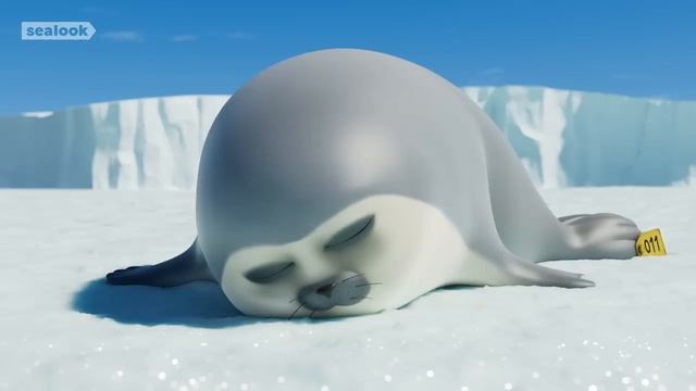 Морские Котики SEALOOK 78