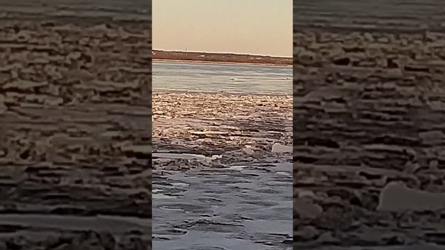 р. Мезень ледоход.