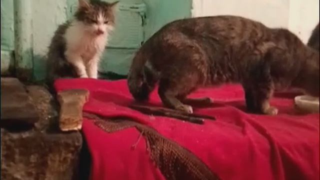 Доброго утра 