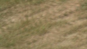 10)З КОМСОМОЛЬСКИЙ ПРУД