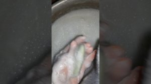 8209.mp4