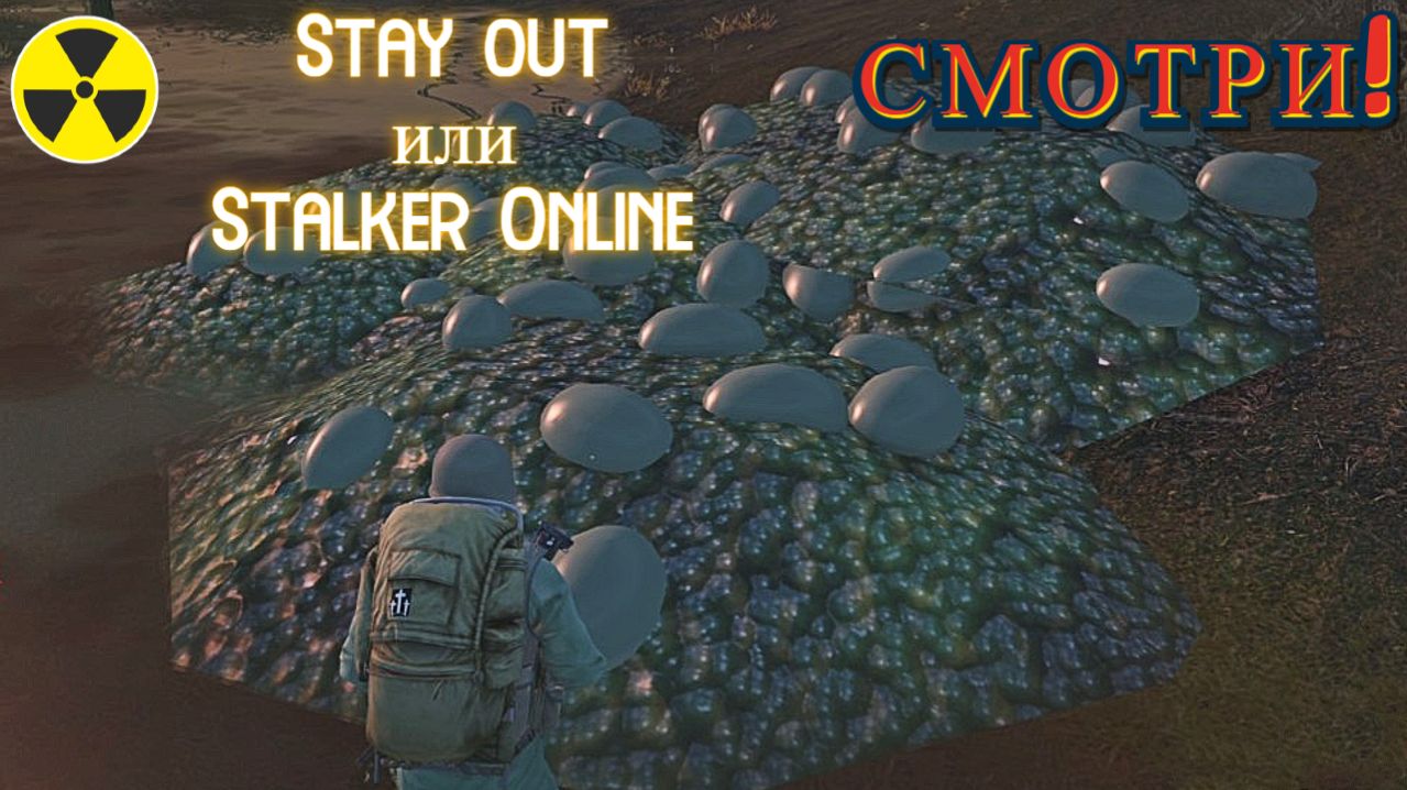 Странная просьба игрока. Stalker Online. Stay Out. (Сталкер онлайн)