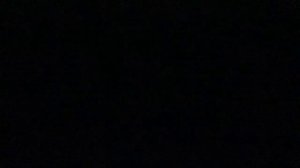 МОСКОВСКИЕ ЗВЕЗДЫ УШУ 2026»