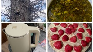 ЧАЙНИК ИЗ ФИКС ПРАЙС ТЕЧЕТ ВЕРНУЛА НАЗАД / ЗАГОТОВКИ  В МОРОЗИЛКУ/ ЧТО ЗА ДЕРЕВО С КОЛЮЧКАМИ / ТОРТ