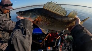 Удачная рыбалка на судака и щуку ЭТО МЕСТО КИШИТ РЫБОЙ.