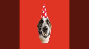 Михаил КОРЯКИН ©А давайте все вместе гульнём!