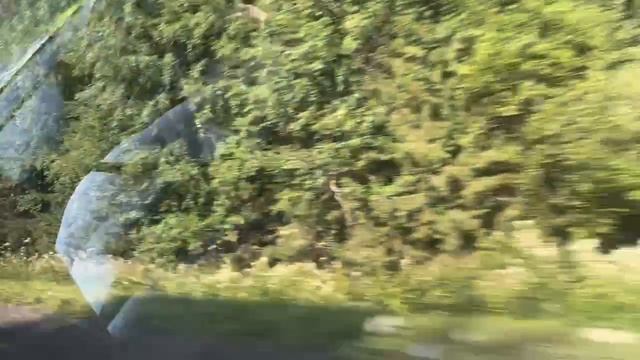 На деревню к дедушке / поехали в отпуск а машине / уехали в Чувашии к дедушке