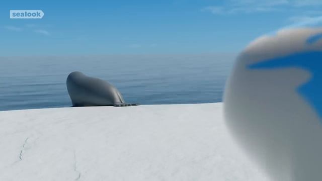 Морские Котики SEALOOK 36