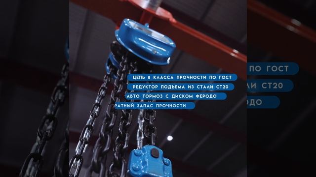 Таль ручная шестеренная Tor ТРШ C  PRO для тяжелых работ