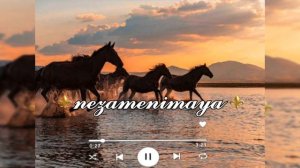 🔱🔥 Цыганская песня_ НоВаЯ_ Барьëна О Чаве _Грузин жуклан исполняет ЦыГаНсКаЯ_дЛя_ДуШи_2026 🔥