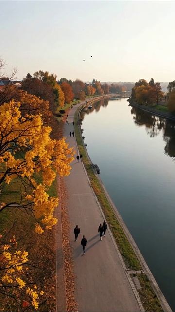 Осенний пейзаж: прогулка у реки #осень #природа #пейзаж