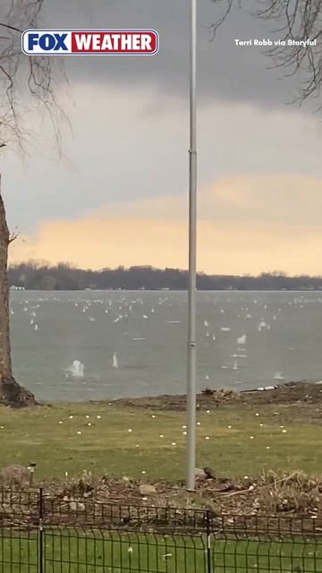 Большой град выпал с размером бейсбольного мяча в мэдисон- лейк  в миннесоте