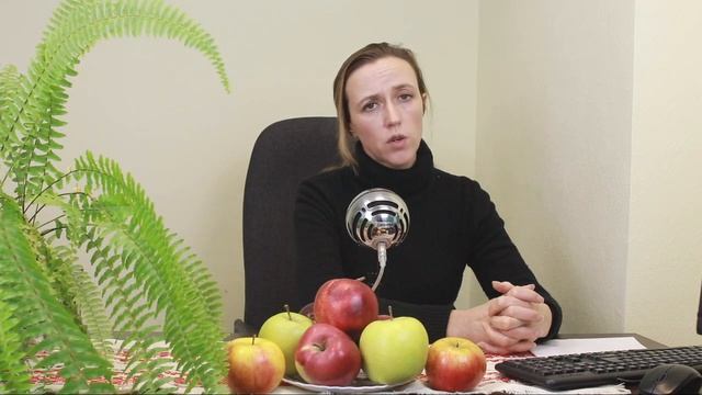 Болезни плодового сада. На что обратить внимание весной