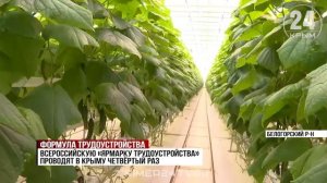 Все профессии нужны: в Крыму прошла Всероссийская «Ярмарка трудоустройства»