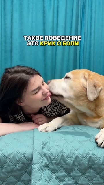 Так собака облегчает боль
Помоги ей и начни чистить зубки 👉 Зубная  паста #WW289331