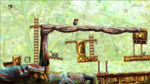 Braid speedrun Any% 35:01.48.