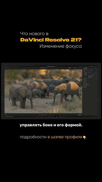 Изменение фокуса в DaVinci 21