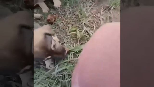 Видео от HackAvto  Лайфхаки и фишки для авто