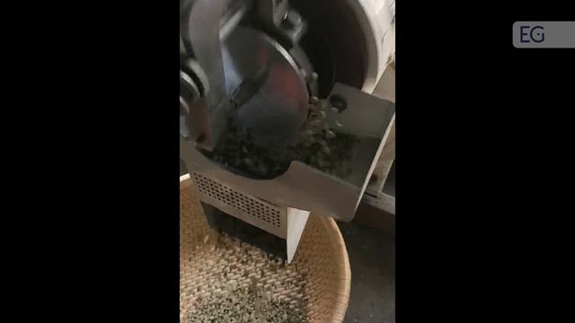 Машина для шелушения кофе 115