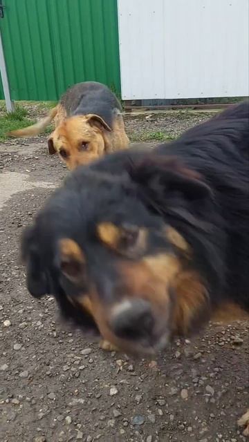 13 апреля 2026 г.