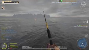 Русская рыбалка 4🎣🎏🦈ВСЕМ ПРИВЕТ И УДАЧНОГО КЛЁВА!!!!!!!!!!!