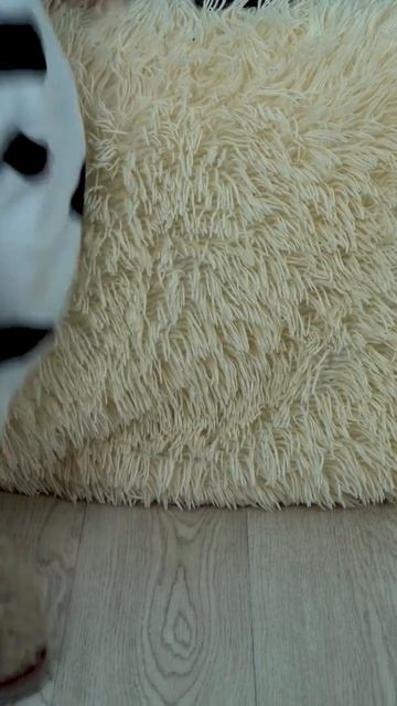 2 Ребенок  нашел монстра паука под кроватью оказалось мама убирается под кроватью