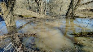 ПИК  ПОЛОВОДЬЯ