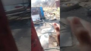 посодили вишню,клещи