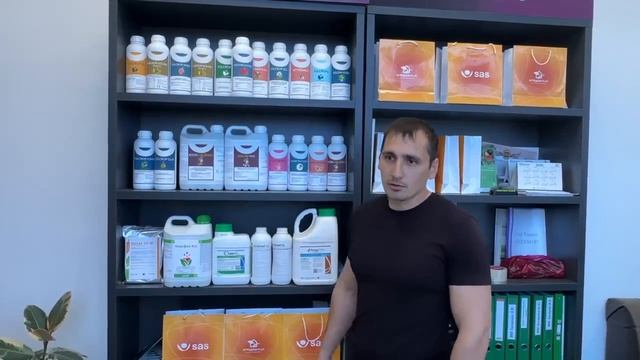 обзор препаратов и удобрений которые применяют клубничники в период формирования ягод