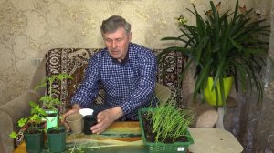 "Во саду ли, в огороде" ( Выпуск от 17.04.2026)