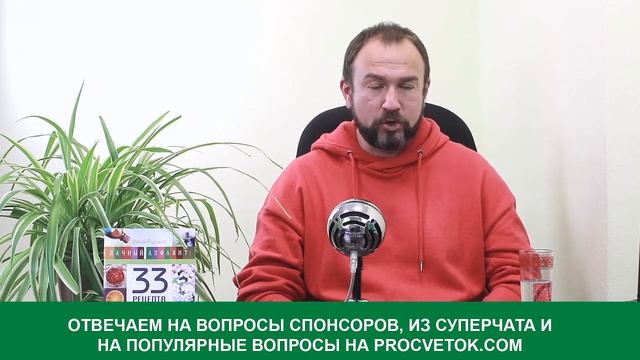 5 основных ошибок при выращивании рассады. Ответы на популярные вопросы