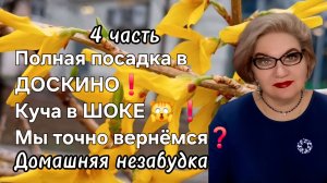 4 часть. Полная посадка в ДОСКИНО❗️Куча в ШОКЕ 🙀 ❗️Мы точно вернёмся❓️
